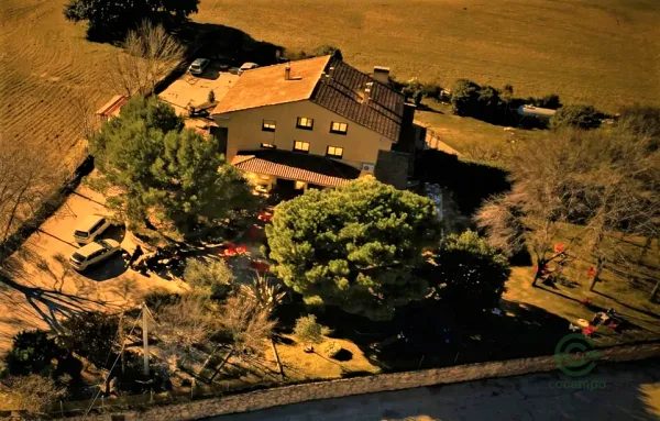 Spot image