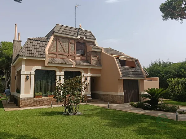 Spot image