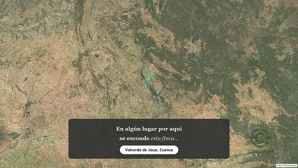 Spot image