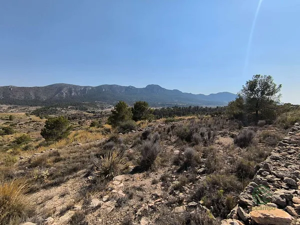 Finca rústica de 3,31 ha en venta en La romana, Alicante