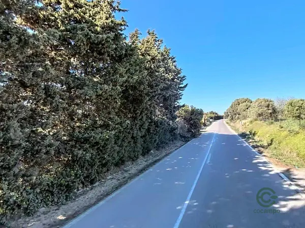 Finca agrícola de 0,25 ha en venta en San roque, Cadiz