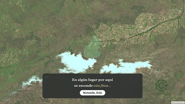 Spot image