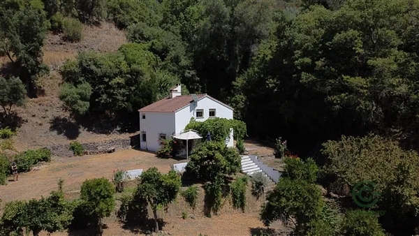 Finca rústica de 0,8 ha en venta en Genalguacil, Málaga