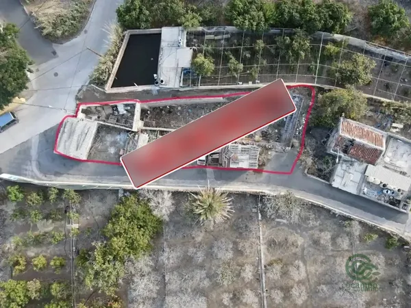 Spot image