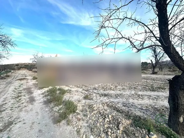 Spot image