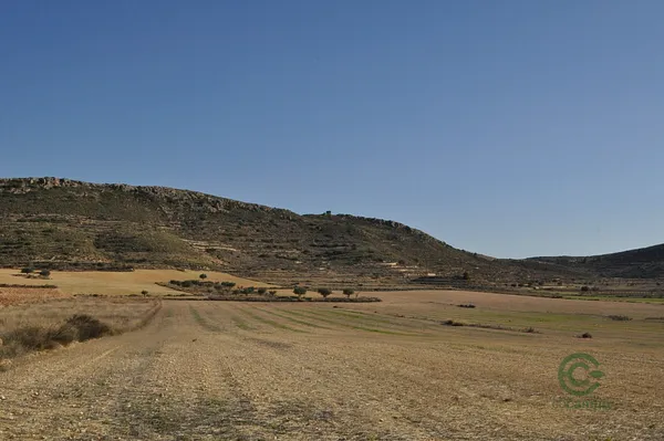 Terreno urbano de 11,5 ha en venta en Jumilla, Murcia