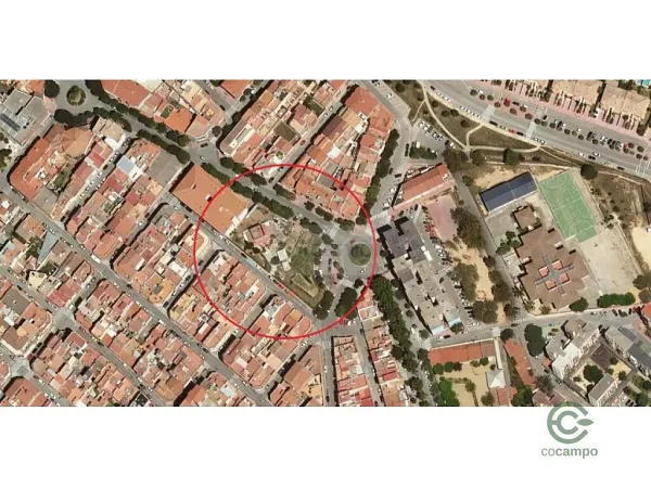 Spot image