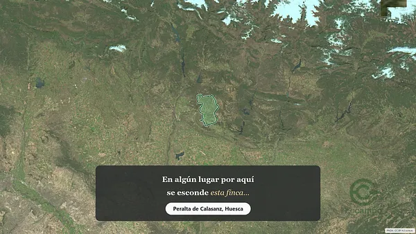 Spot image