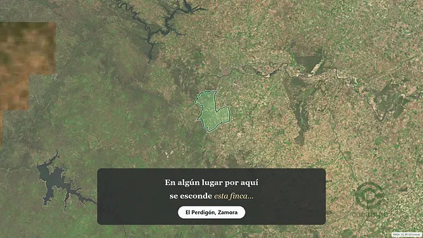 Spot image