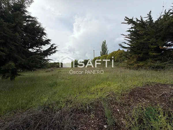 Spot image