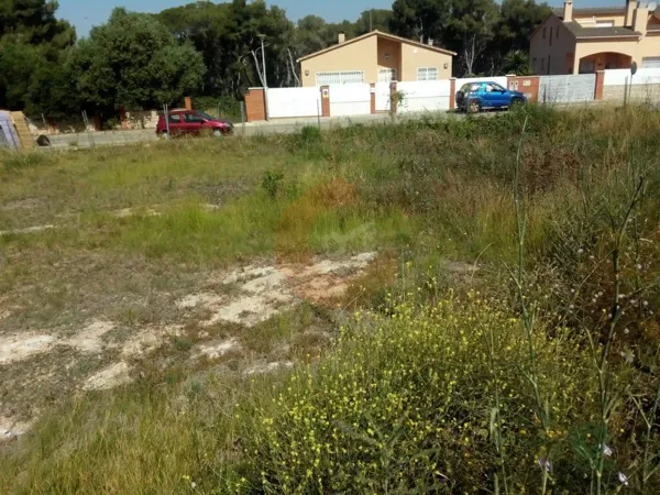 Spot image