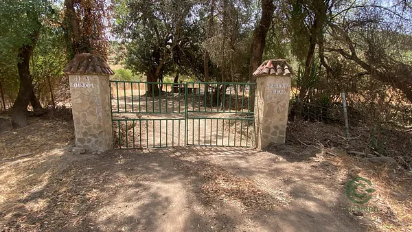 Spot image