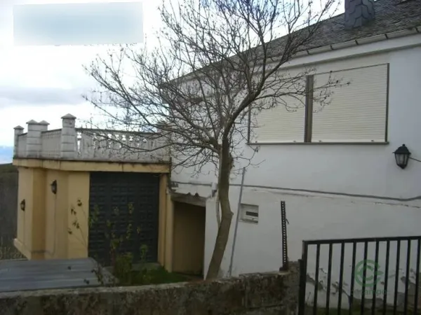 Spot image