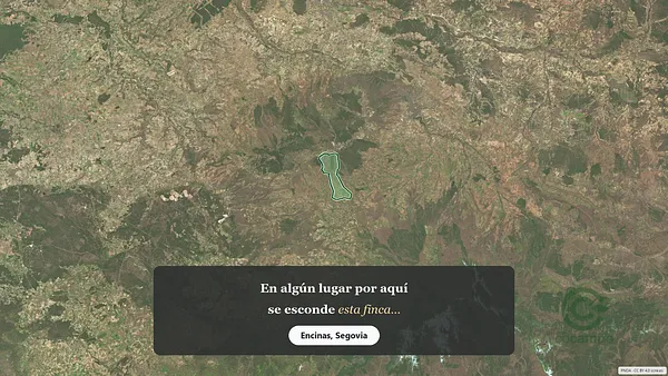 Spot image