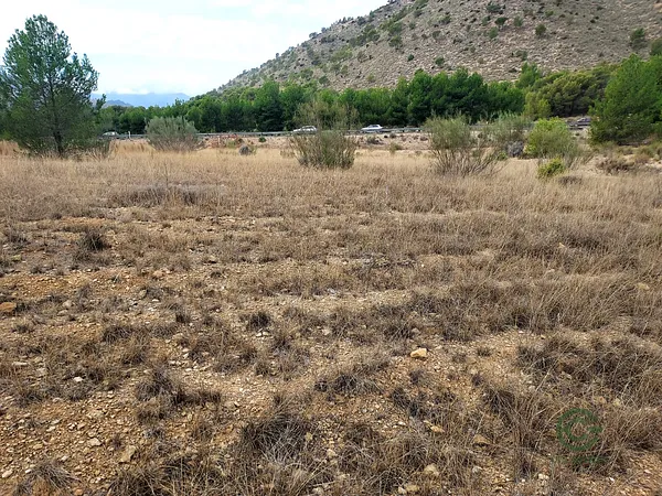Finca agrícola de 1,8 ha en venta en Cieza, Murcia