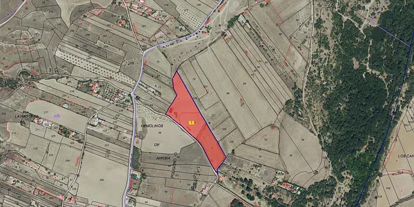 Spot image