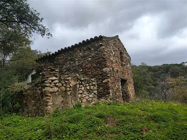 Finca rústica de 4 ha en venta en Málaga