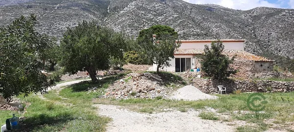 Spot image