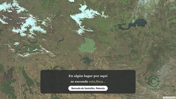 Spot image