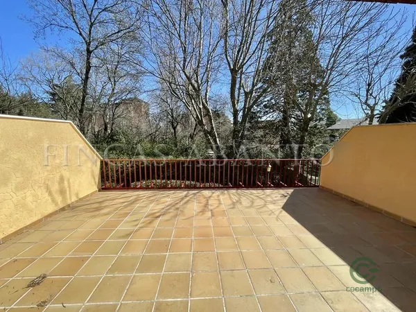 Spot image