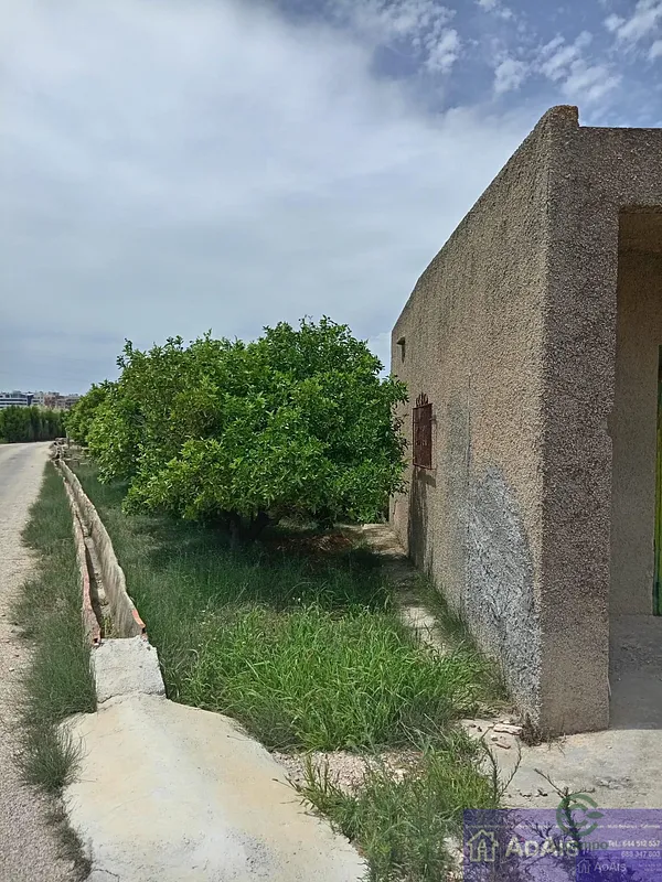 Spot image