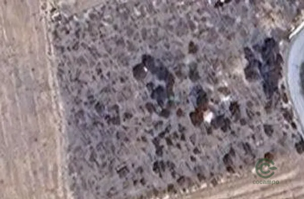 Spot image