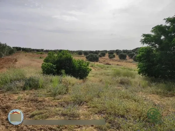 Finca agrícola de 2,6 ha en venta en Marchena, Sevilla