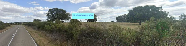Spot image