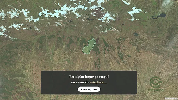 Spot image