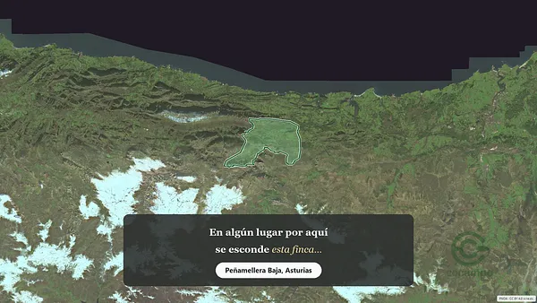 Spot image