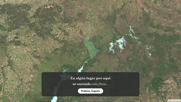 Spot image