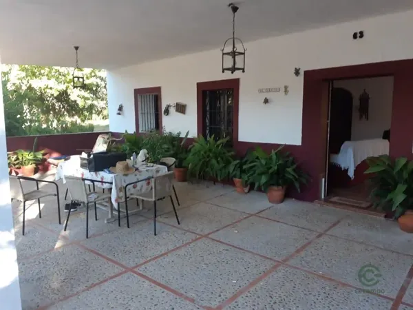 Spot image