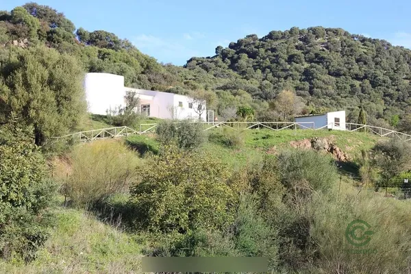 Spot image
