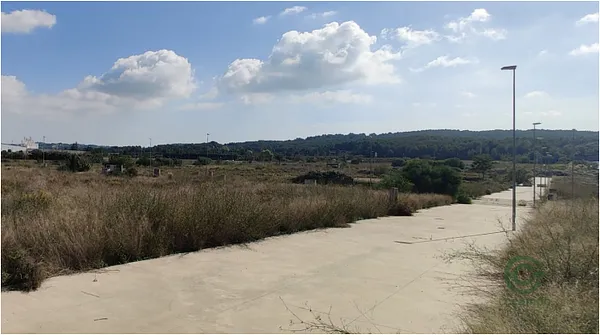 Spot image