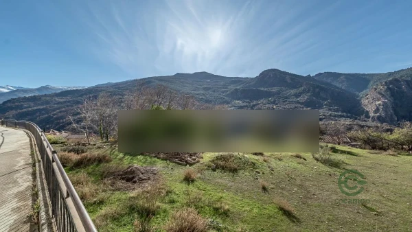 Spot image