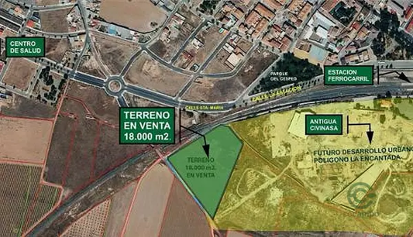 Spot image