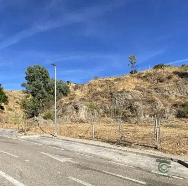 Spot image