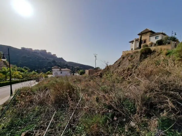 Spot image