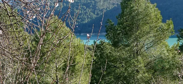 Spot image