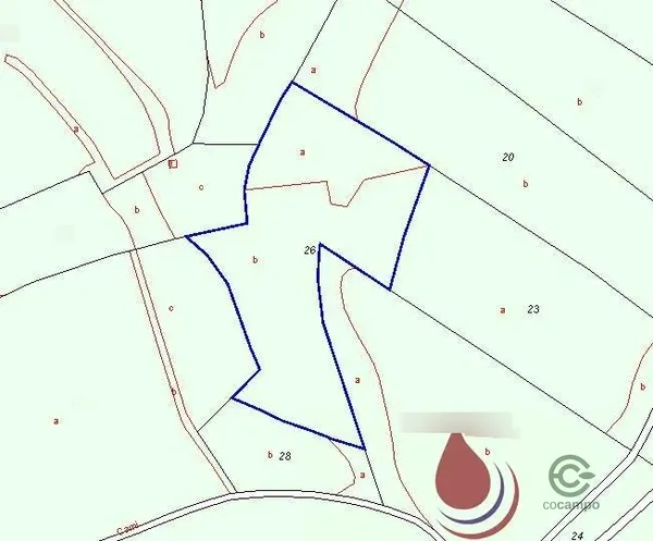 Spot image