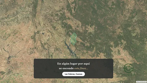 Spot image