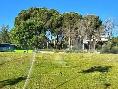 Spot image