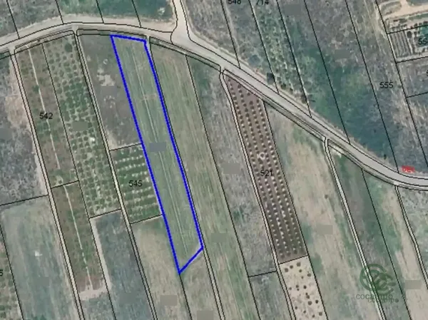 Spot image