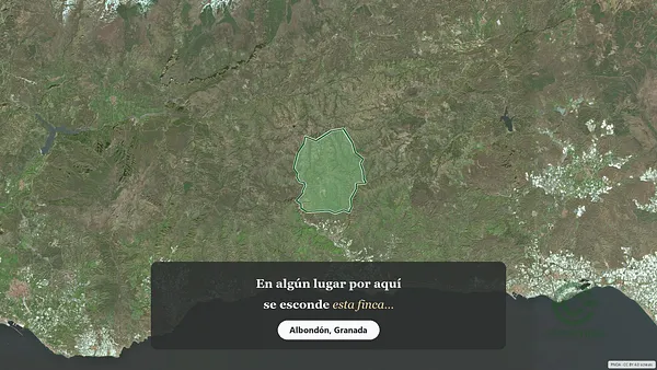 Spot image