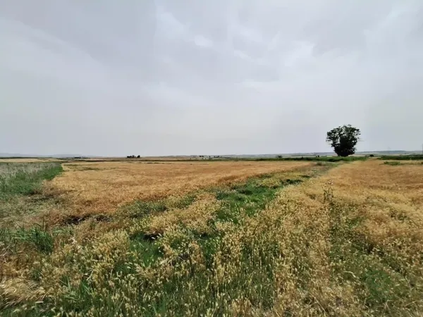 Finca agrícola de 3,11 ha en venta en Altorricon, Huesca