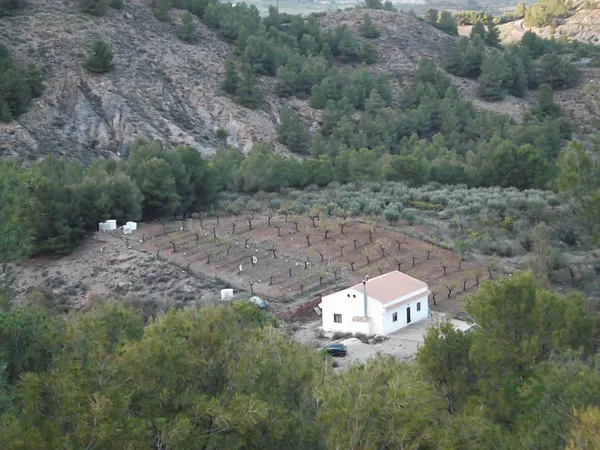 Spot image