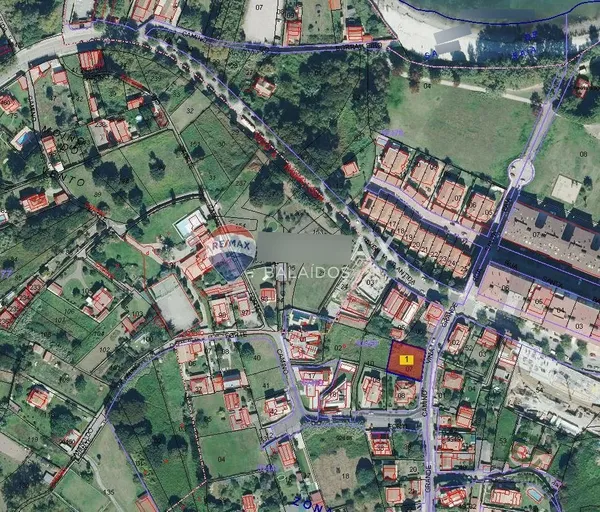 Spot image