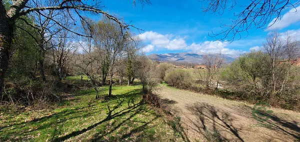 Spot image