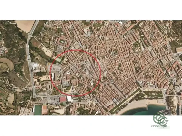 Spot image