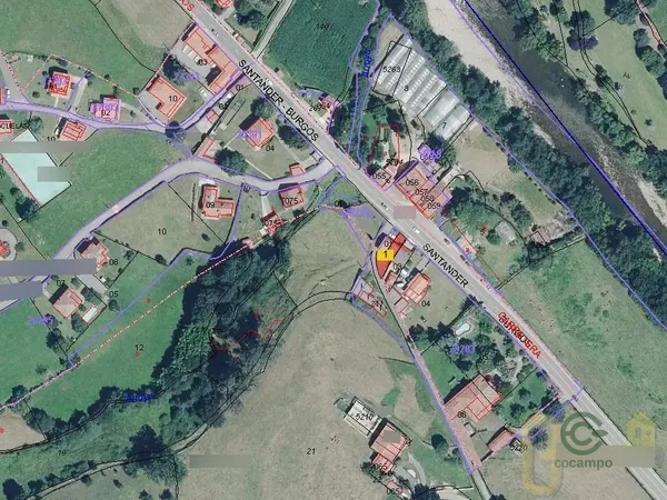Spot image